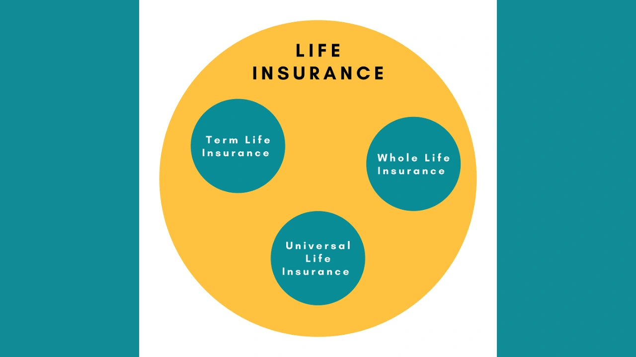 Types of Life Insurance