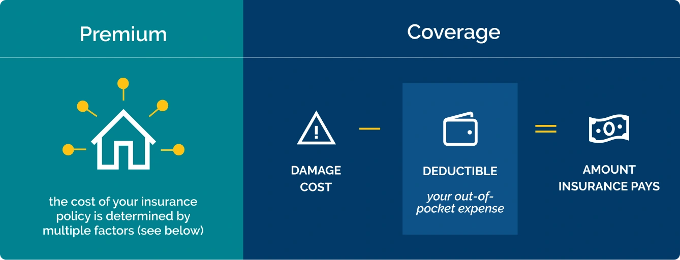 Comparing Premiums and Coverage Options