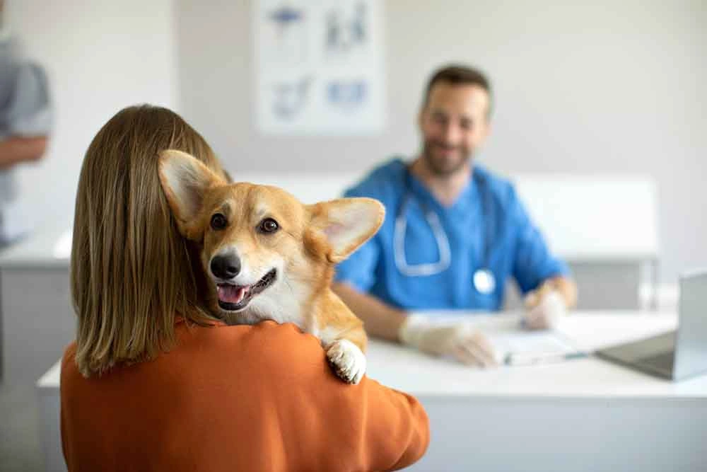 Future of Pet Insurance