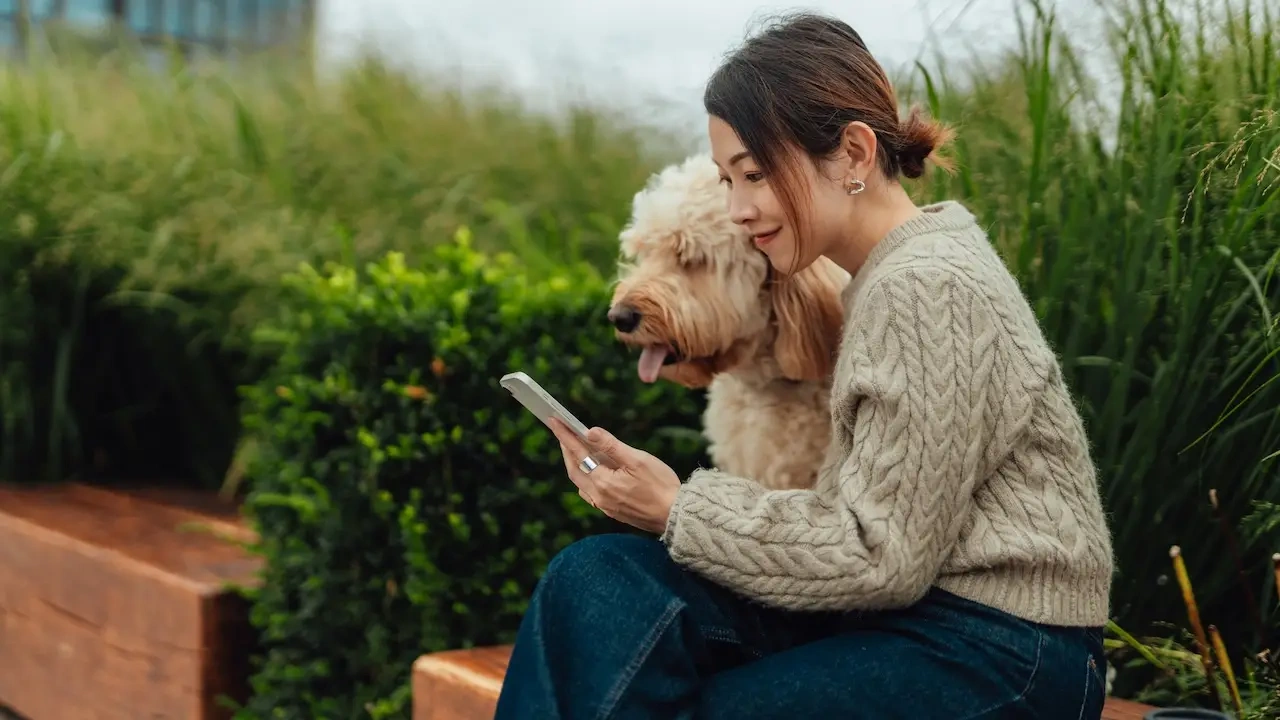 How to Find Cheap Pet Insurance for Dogs
