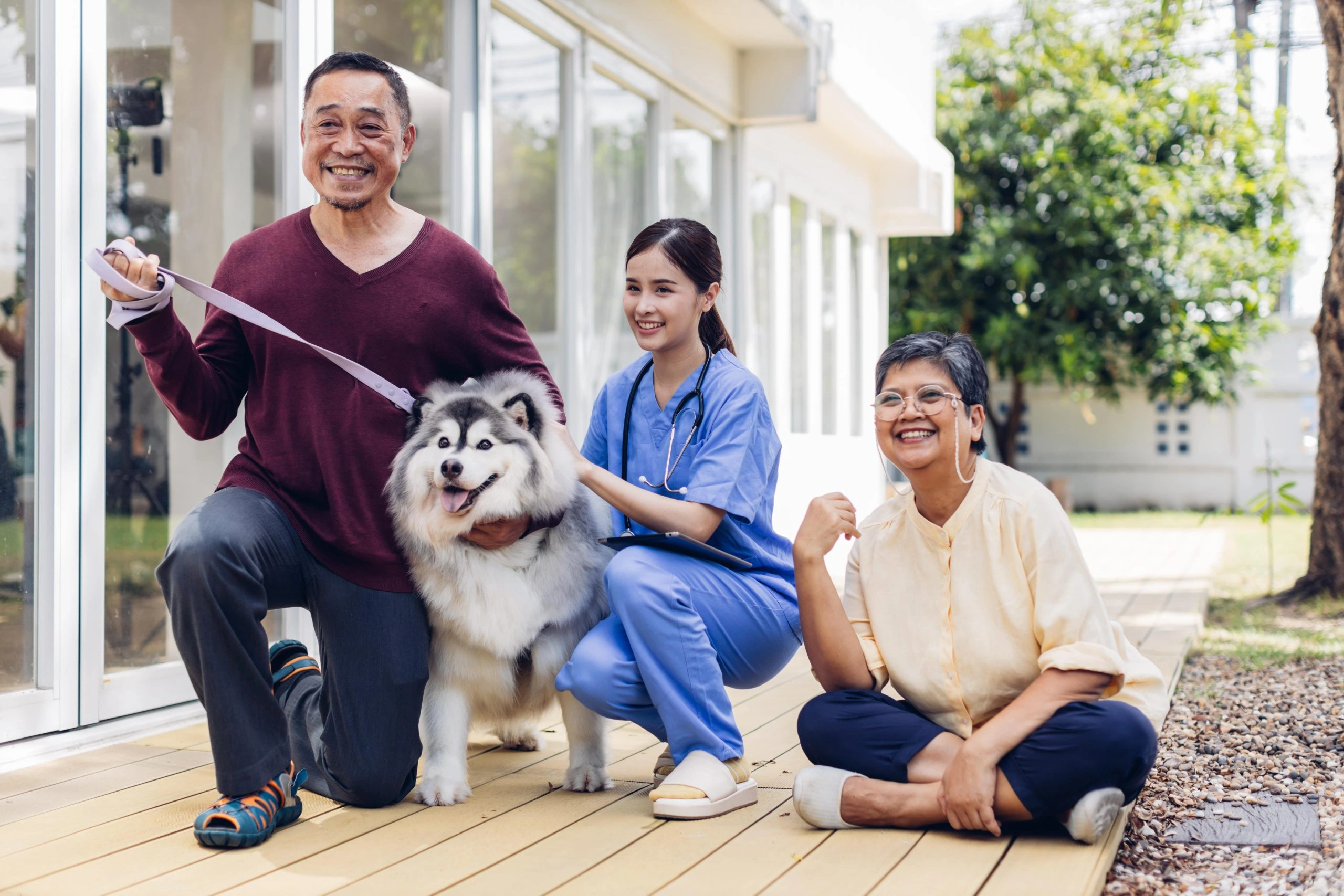 The Best Pet Insurance Plans