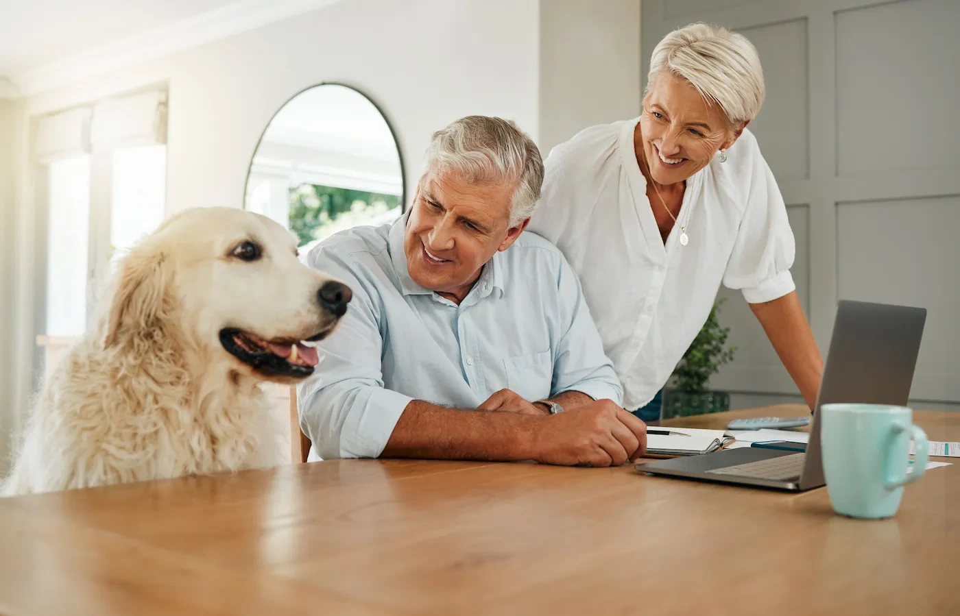 How to Save Money on Pet Insurance