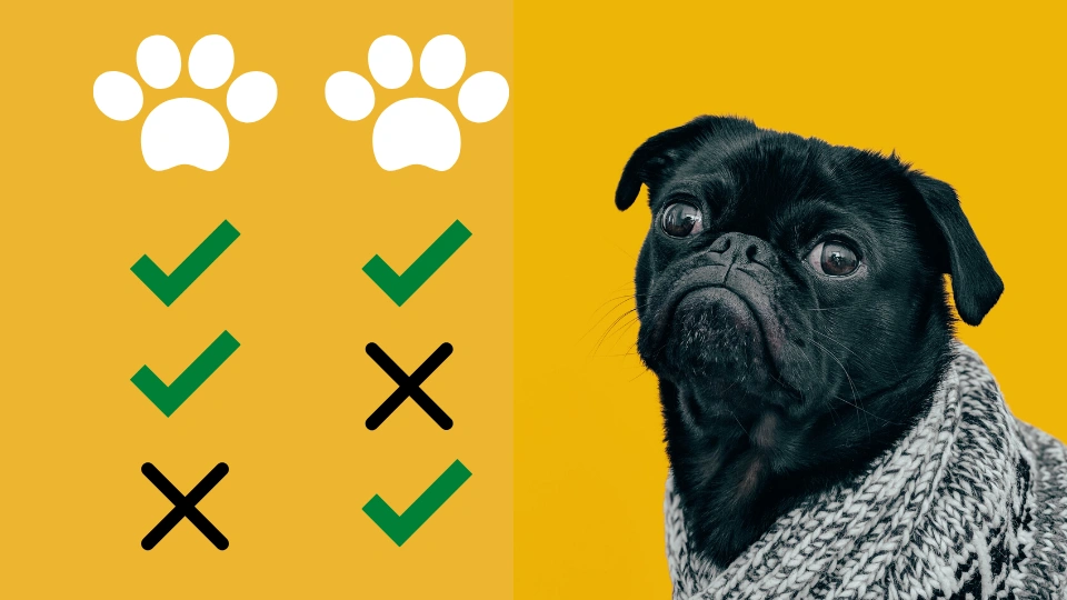 Comparing Cheap vs. Comprehensive Coverage